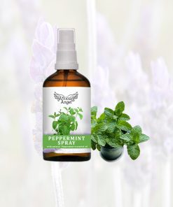 Rejuvenating Aroma Spray